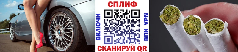 Шишки марихуана THC 21%  магазин продажи   Мещовск 